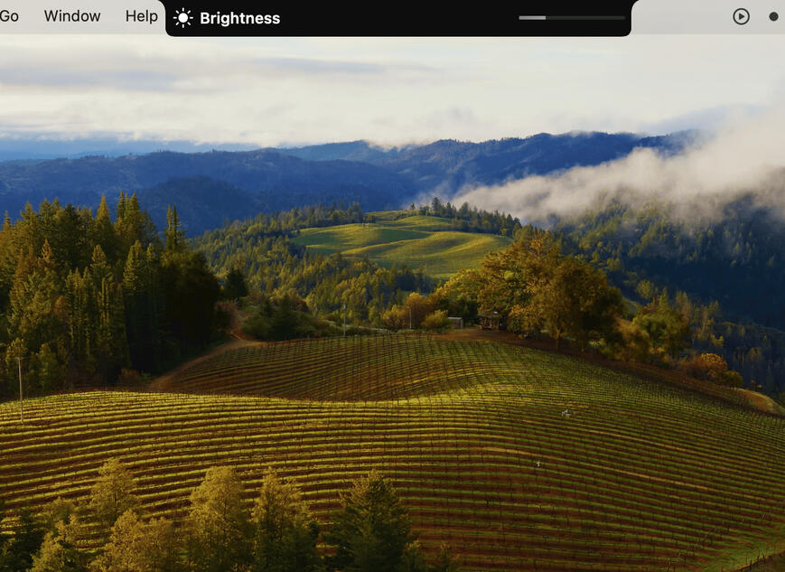 Customizable Settings